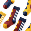 Picture of Mini Me Matching Socks -Parent-Child Socks - Color