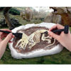 Picture of Mideer - Dig a Dinosaur Kit - Triceratops