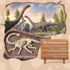 Picture of Mideer - Dig a Dinosaur Kit - Brontosaurus