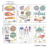 Picture of Space  Decor Stickers - 36 Pcs Kids Room Decor