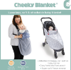 Picture of CHEEKY CHOMPERS BABY TRAVEL BLANKET - Baby Dino